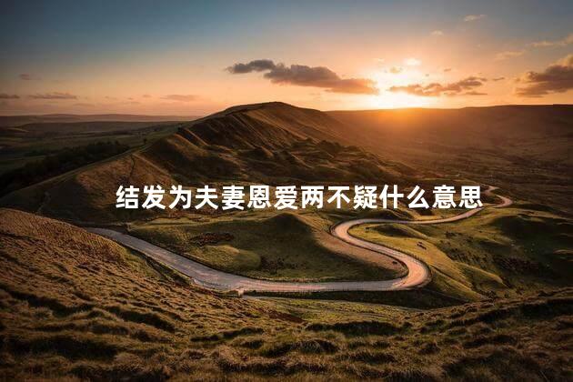 结发为夫妻恩爱两不疑什么意思