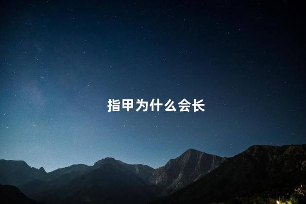指甲为什么会长