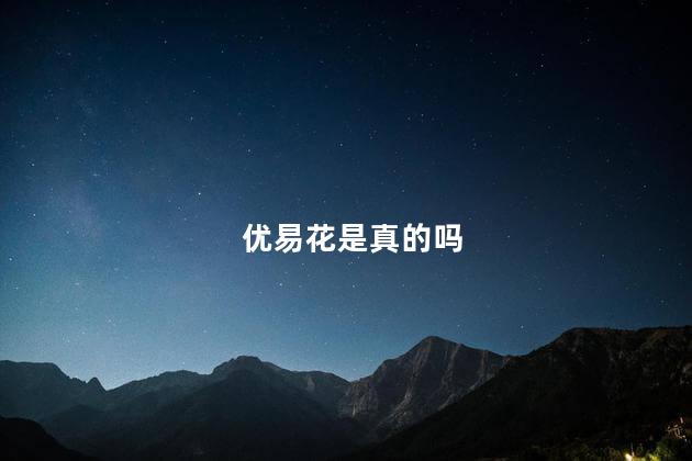 优易花是真的吗