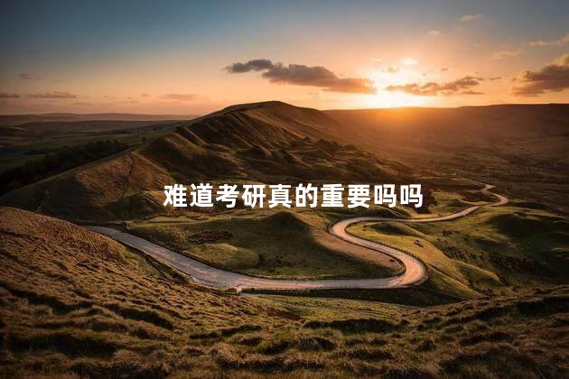 难道考研真的重要吗吗