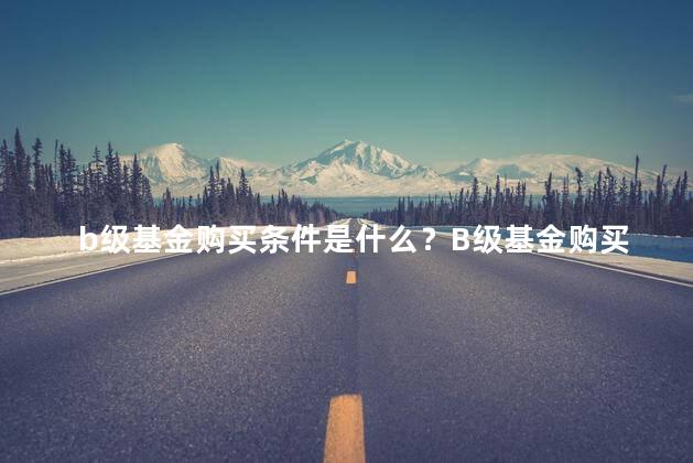 b级基金购买条件是什么？B级基金购买条件须知