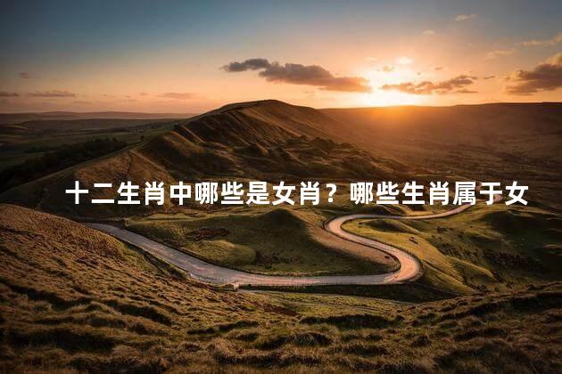 十二生肖中哪些是女肖？哪些生肖属于女性？十二生肖中的女肖有哪些？