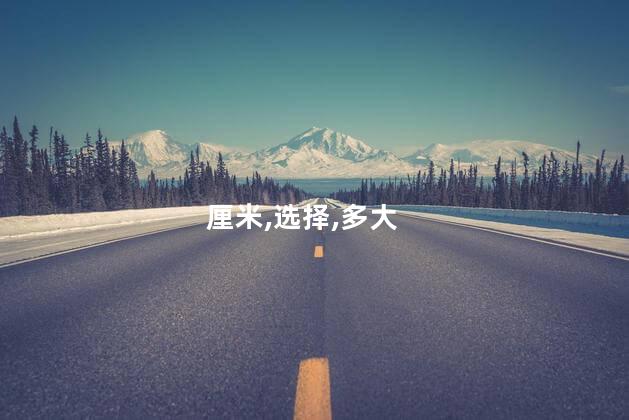 厘米,选择,多大