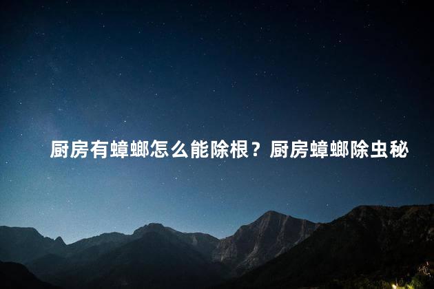 厨房有蟑螂怎么能除根？厨房蟑螂除虫秘籍
