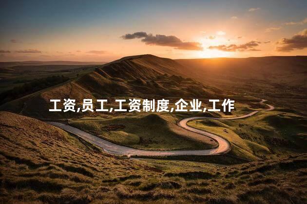 工资,员工,工资制度,企业,工作