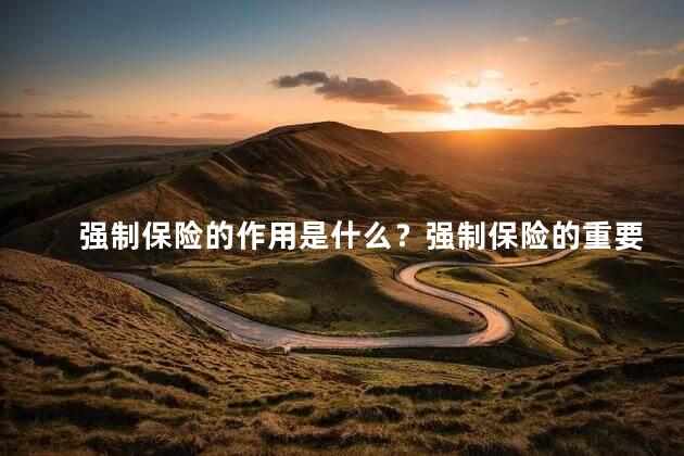 强制保险的作用是什么？强制保险的重要性