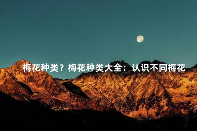 梅花种类？梅花种类大全：认识不同梅花品种,品味芳香冬日的美景