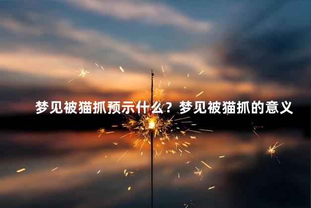 梦见被猫抓预示什么？梦见被猫抓的意义是什么？