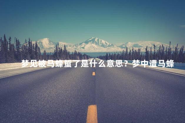 梦见被马蜂蜇了是什么意思？梦中遭马蜂攻击的寓意