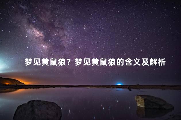 梦见黄鼠狼？梦见黄鼠狼的含义及解析