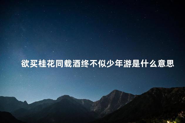 欲买桂花同载酒终不似少年游是什么意思？桂花同酒,怀旧少年游