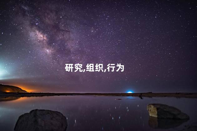 研究,组织,行为
