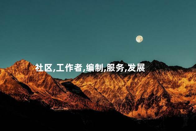 社区,工作者,编制,服务,发展