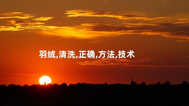 羽绒,清洗,正确,方法,技术