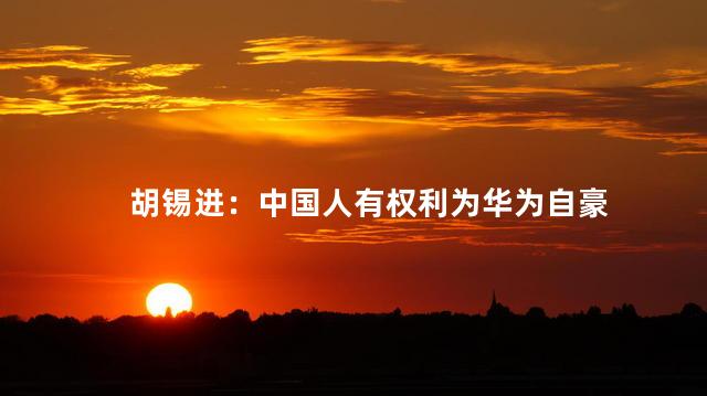 胡锡进：中国人有权利为华为自豪
