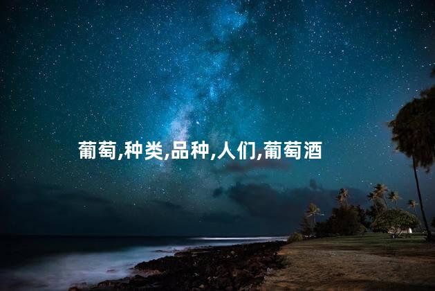 葡萄,种类,品种,人们,葡萄酒
