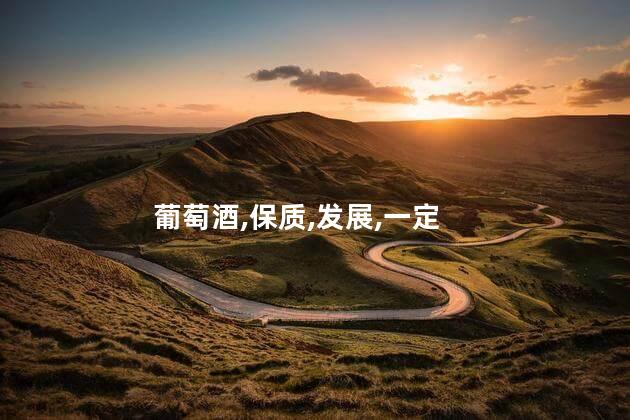 葡萄酒,保质,发展,一定